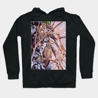 Long-eared Owl watercolour Hoodie